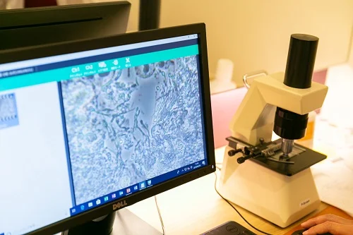 位相差顕微鏡を用いた「細菌の見える化」と歯周内科療法